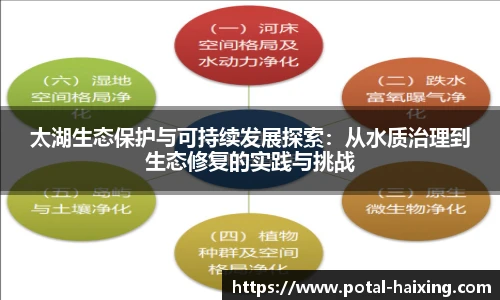 太湖生态保护与可持续发展探索：从水质治理到生态修复的实践与挑战