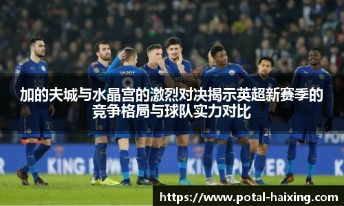 加的夫城与水晶宫的激烈对决揭示英超新赛季的竞争格局与球队实力对比