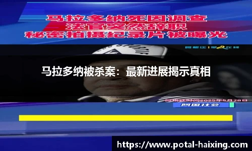 海星体育直播
