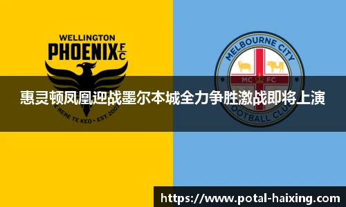 惠灵顿凤凰迎战墨尔本城全力争胜激战即将上演