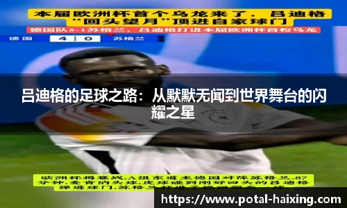 海星体育直播