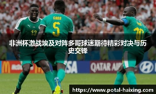 非洲杯激战埃及对阵多哥球迷期待精彩对决与历史交锋